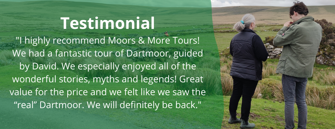 Testimonial by Gillian to Moors and More Tours
